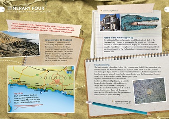 Fossils of the Jurassic Coast sample page 2